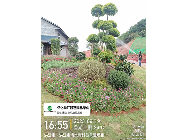 洪江市托口鎮(zhèn)清水青村綠化微景觀施工現場
