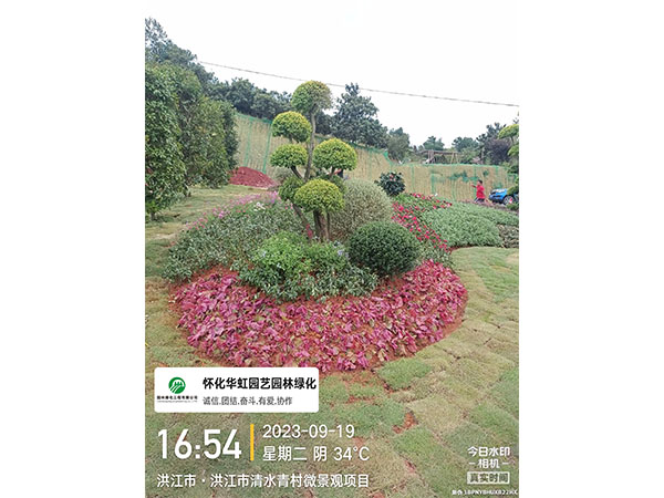 洪江市托口鎮(zhèn)清水青村綠化微景觀施工現場