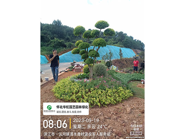 洪江市托口鎮(zhèn)清水青村綠化微景觀施工現場