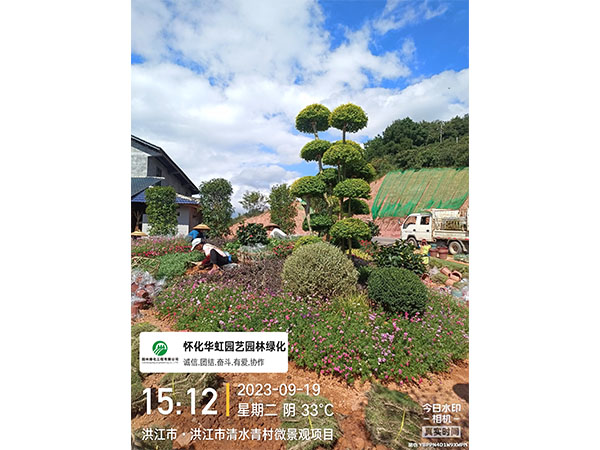 洪江市托口鎮(zhèn)清水青村綠化微景觀施工現場