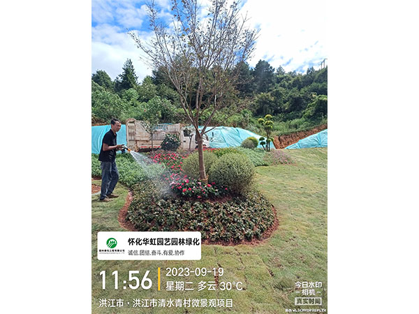 洪江市托口鎮(zhèn)清水青村綠化微景觀施工現場