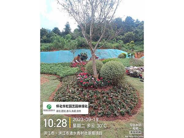 洪江市托口鎮(zhèn)清水青村綠化微景觀施工現場