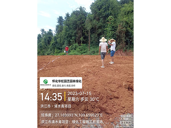 洪江市托口鎮(zhèn)清水青村綠化微景觀施工現場